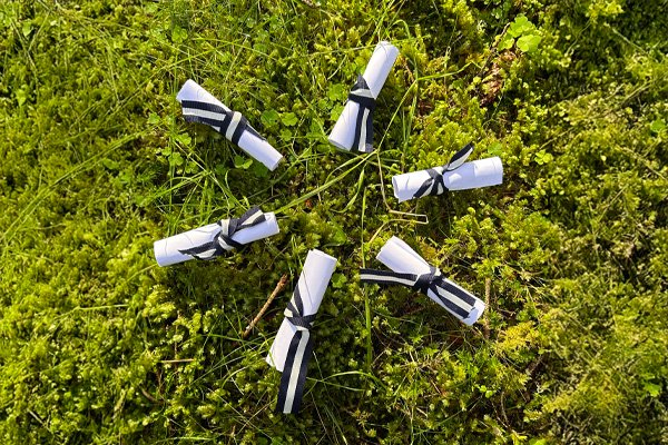 Image of scrolls on the forest floor