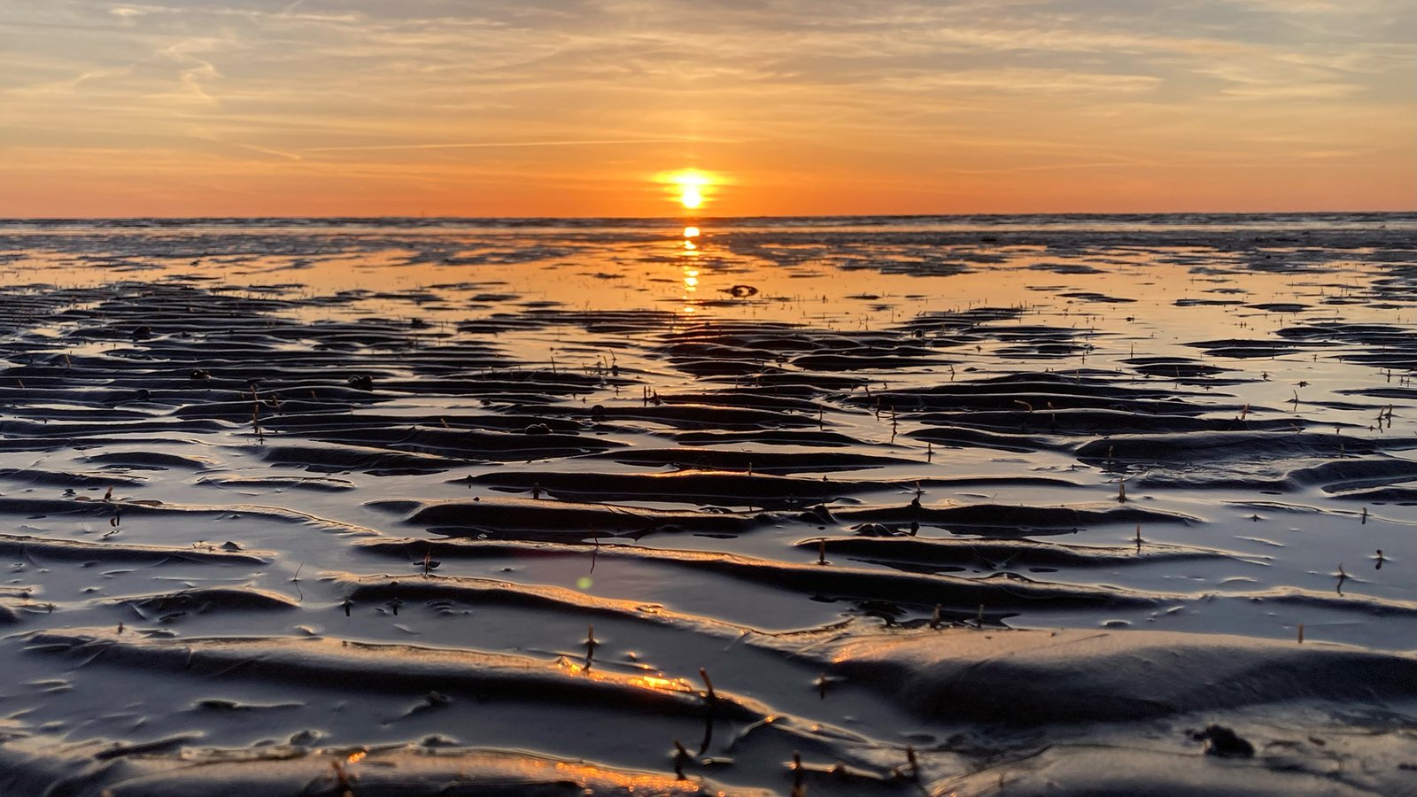 Sunset beach with rippled sand